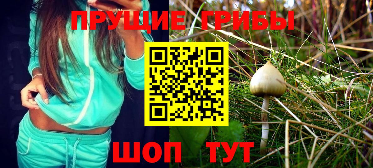 Псилоцибиновые грибы Cubensis  Вход с VPN  Михайловск 