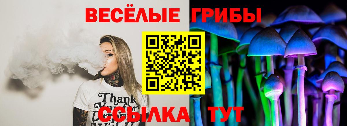 Псилоцибиновые грибы прущие грибы Михайловск